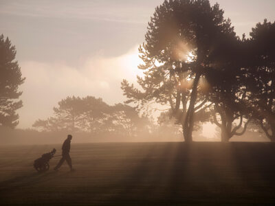 Side vie of man walking past trees across golf course at twilight, pulling golf trolley.